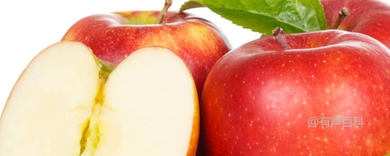苹果树普遍的病害及防治措施