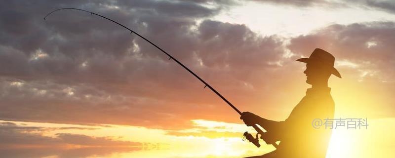 初夏钓鱼的6个技巧，轻松掌握