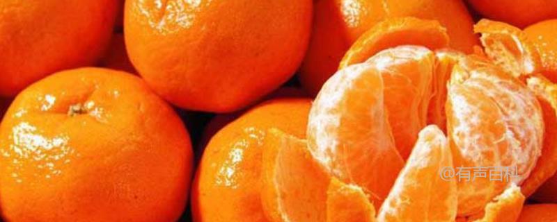 种植小橘子籽的方法及挑选小橘子技巧
