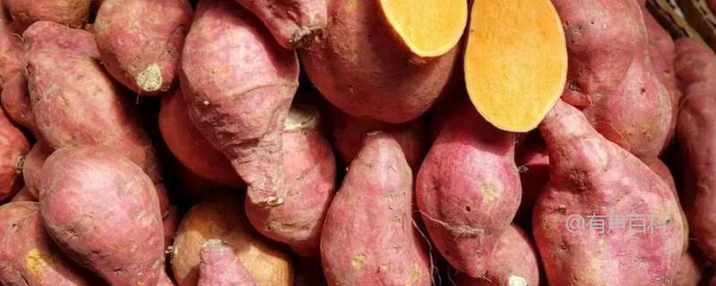 红薯亩产量一般多少公斤？