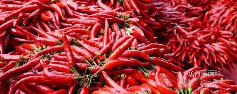 全球产量最高的辣椒种植在哪里？领先的辣椒品