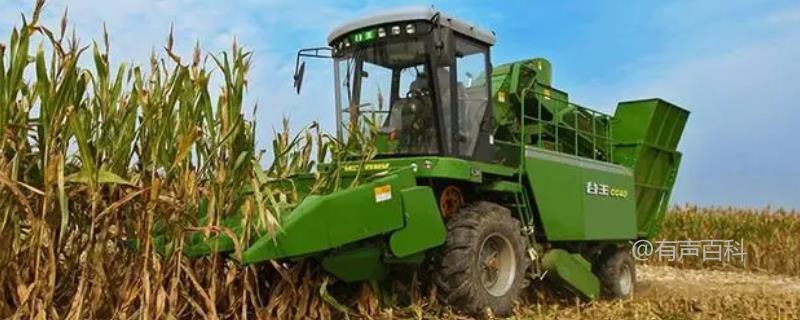 如何处理玉米收割机跑粮问题：调整拔禾轮高度