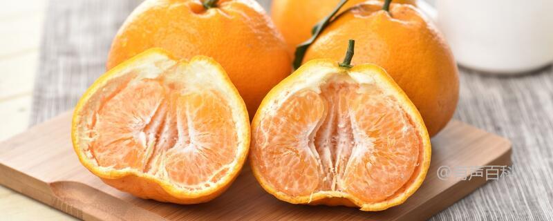 柑橘冻害防御方法：覆盖物的选择对植物保护的